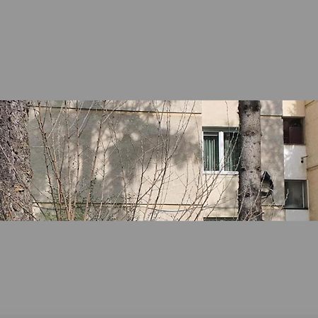 Maria'S Apartments Târgu-Mureş 외부 사진